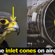 Illustration for article titled This Crazy-Ass Bird Can Dive As Fast As A Dang Bugattiem/em